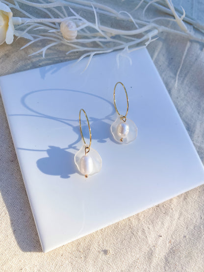 Clam Shell Hoops